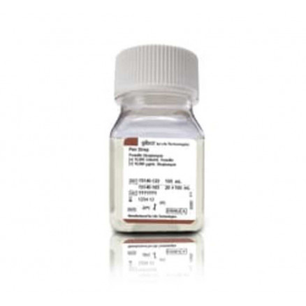 PENICILLINE STREPTOMYCINE 100ML