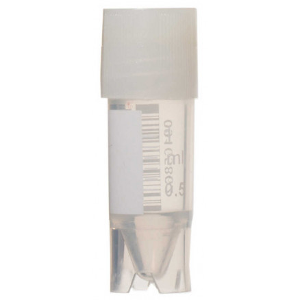 CRYOTUBE FOND ROND CAP.2ML STERILE D.48,2X12,5MM - P.500