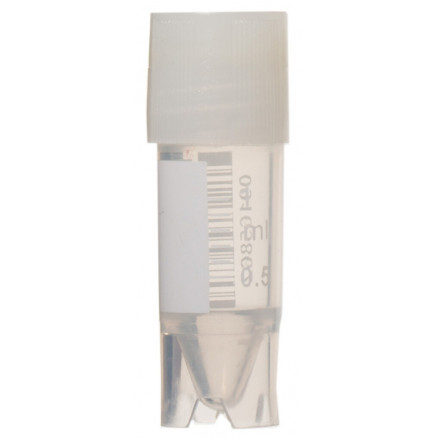 CRYOTUBE 2ML FOND ROND STERILE PACK DE 500