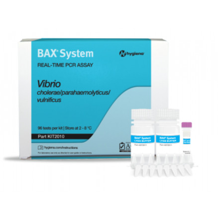 KIT TEST PCR VIBRIO BAX SYSTEM - 96 TESTS