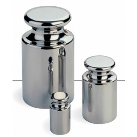 POIDS ETALON INOX 100G CLASSE F1 AVEC BOITE EN BOIS DAKKS