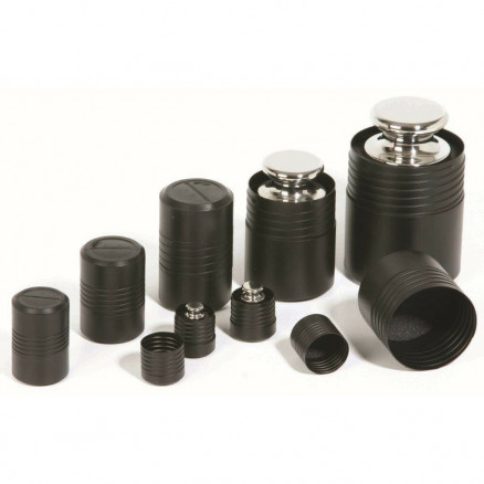 POIDS ETALON INOX 100MG CLASSE E1 AVEC BOITE PLASTIQUE DAKKS