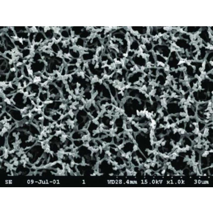 MEMBRANE DE FILTRATION AE99 WHATMAN POR. 8µm - DIAM. 47mm - PACK X100