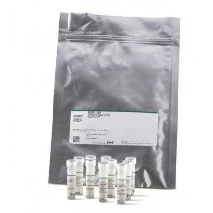 BACILLUS SUBTILIS SUBSP. SPIZIZENII WDCM 00003 VITROIDS - PACK X10