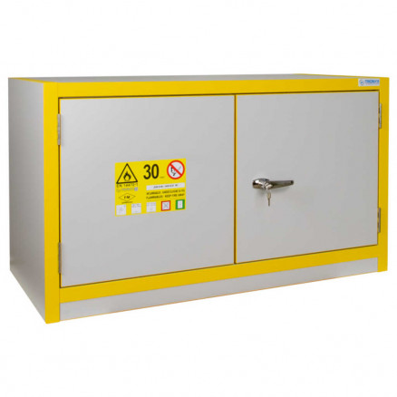 ARMOIRE SECURITE TRIONYX PAILLASSE MULTIRISQUE ANTI-FEU 30 MINUTES