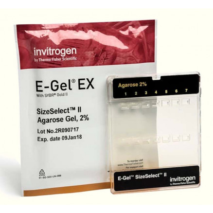 GEL D'AGAROSE E-GEL SIZESELECT II 2% - G661012  - PACK X10