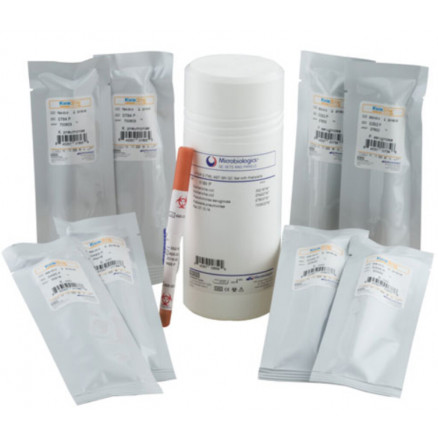 KWIK-STIK ANC STREAMLINED QC SET 2 ECOUVILLONS
