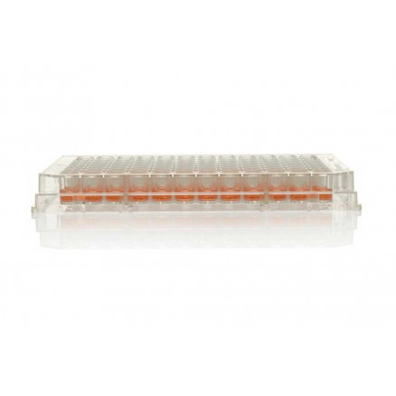 PLAQUE 96 PUITS A FOND PLAT NUNC PS NON STERILE TRANSPARENT - PACK X60