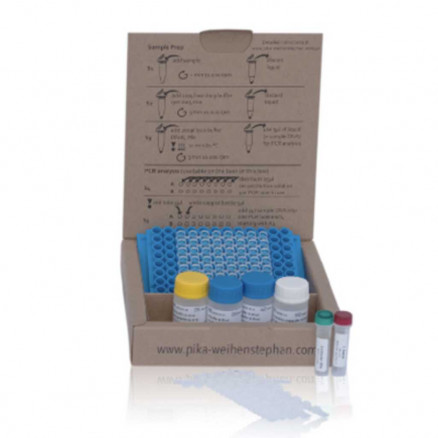 KIT DE DETECTION BY 200µL 4EVERYONE LP SCREENING - PACK 48 REACTIONS
