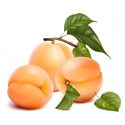 AROME NATUREL ABRICOT 14% VOL CERT BIO 7.31015 - 5 X 5KG