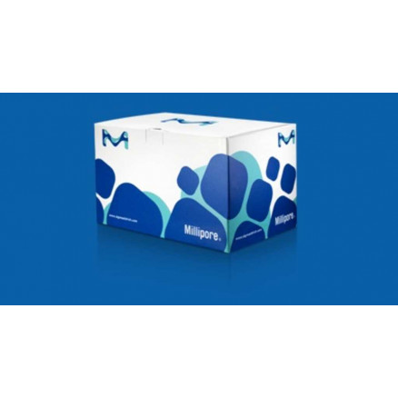 FILTRE MILLEX HP P 0,45µM DIAM.33MM POLYETHENSULFONE STERILE -PACK X250