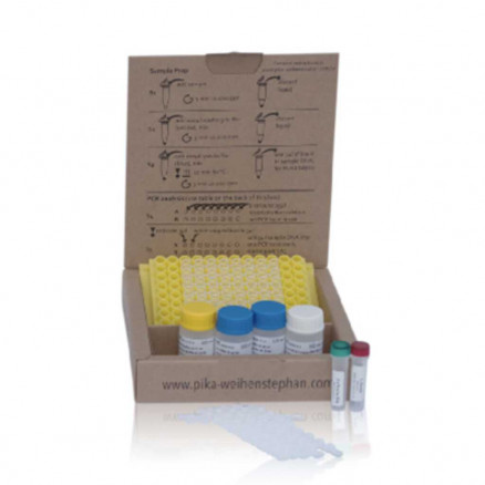 KIT DE DETECTION BY 200µL 4EVERYONE SUPERATTENUATOR YEAST- 48 REACTIONS
