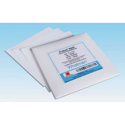 MEMBRANES WHATMAN NITRATE DE CELLULOSE P.0,2µM D.90MM - PACK X25