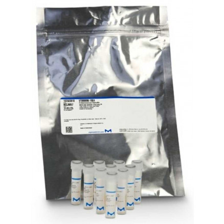 BACILLUS SPIZIZENII WDCM 00003 VITROIDS - 1000-10000 CFU -PACK X10