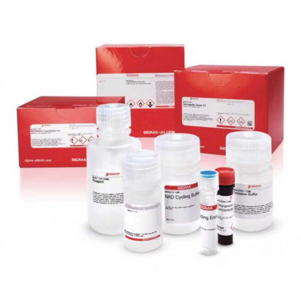 KIT DE DOSAGE DE L'HISTAMINE MAK432 - 100 TESTS