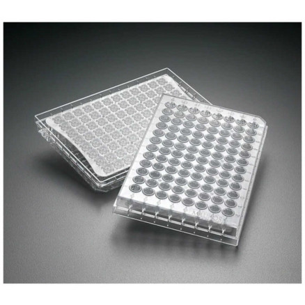 PLAQUE A 96 PUITS MULTISCREEN POR.1,2µ NON STERILE MSBVN1210 -X10