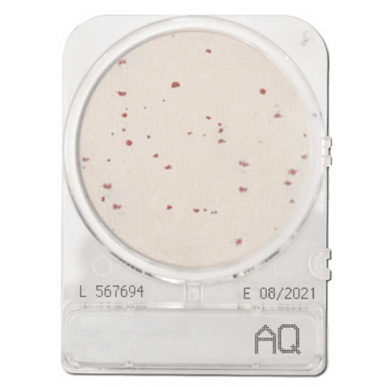 COMPACT DRY AQ (BACTERIES HETEROTROPHES DANS L'EAU) - PAR 4