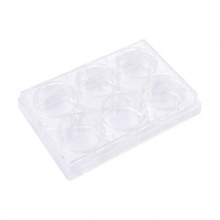 PLAQUE CULTURE CELLULAIRE 6 PUITS STERILE TRAITEE FOND PLAT PACK X50