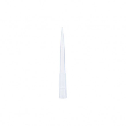 CONES EN PP NATUREL 1-300µL - PACK X1000