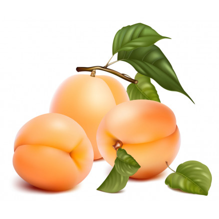 AROME NATUREL ABRICOT 14% VOL CERT BIO 7.31015 - 5KG