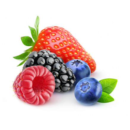 AROME NATUREL FRUITS DES BOIS 24,5%VOL CERT BIO 7.31019 - 5KG