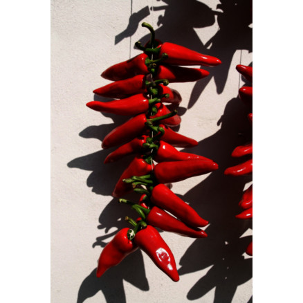PIMENT D'ESPELETTE AOC EN POUDRE - SACHET DE 1 KG