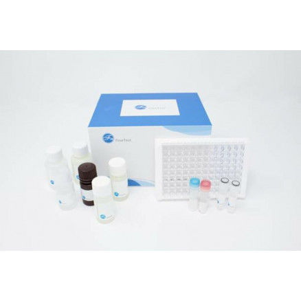 KIT ELISA MOUSE TJP1 PACK X96