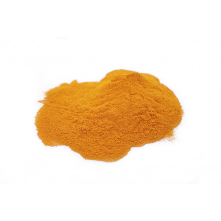 CURCUMA POUDRE BIO - 1KG REF 01160