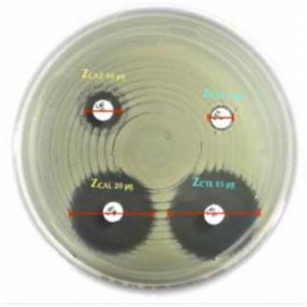 ERTAPENEM+CLOXACILLINE ET+CL LF9199 - 50 DISQUES