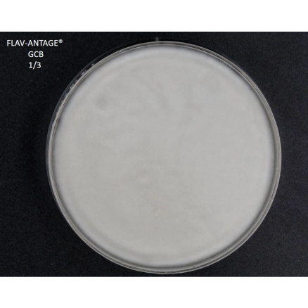 FLAV-ANTAGE GCB 10D-LE SACHET