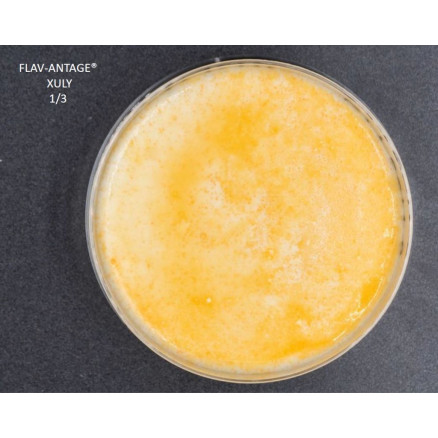 FLAV-ANTAGE XULY 10D - LE SACHET