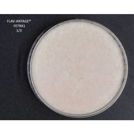 FLAV-ANTAGE FETRX 1 LYO 10D-LE SACHET