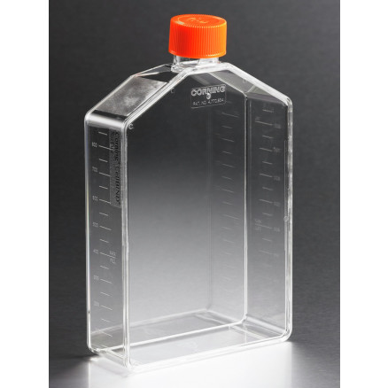 FLACON DE CULTURE CELLULAIRE CORNING 225CM2 STERILE - X25