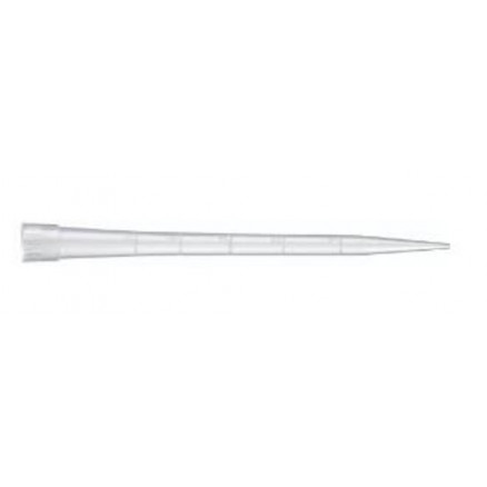 POINTES EPPENDORF EPTIPS 0,1-10uL VRAC - PACK 2x500
