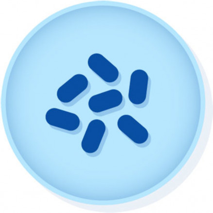 KWIK-STIK HAEMOPHILUS INFLUEN- ZAE ATCC9007TM - 2 ECOUV.