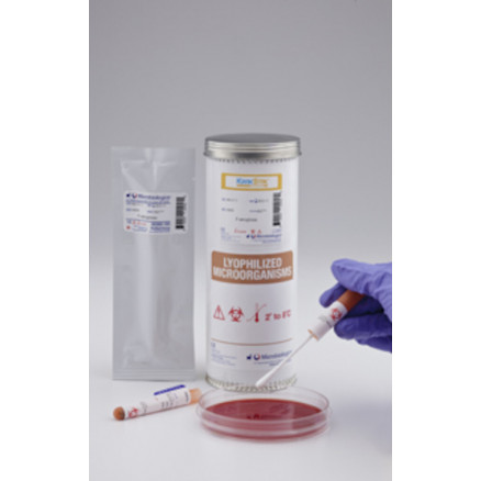 KWIK-STIK CITROBACT. FREUNDII ATCC43864TM-2 ECOUV.