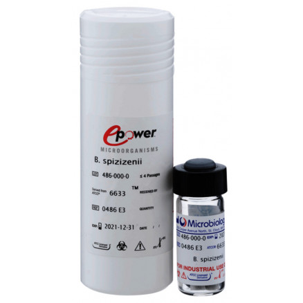 EPOWER ENTEROBACTER AEROGENES ATCC13048TM 10E3CFU -10 PAST.