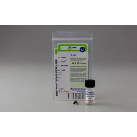 EPOWER STAPH. EPIDERMIDIS ATCC12228TM 10E3CFU - 10 PAST.