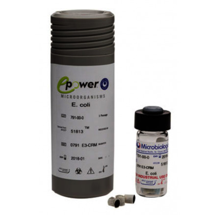 EPOWER CRM ENTEROBACTER AEROGE -NES ATCC13048TM - 10 PAST.