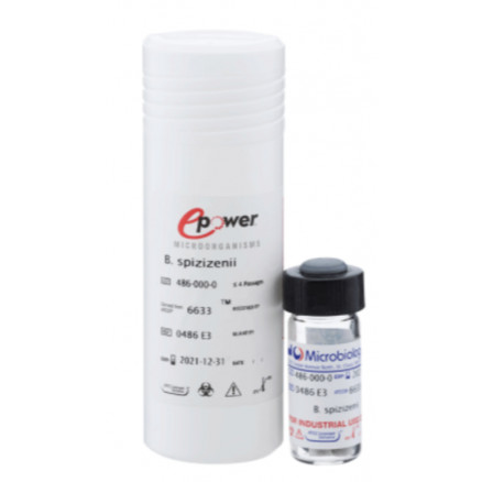 EPOWER LISTERIA INNOCUA ATCC33090TM - 10 PASTILLES