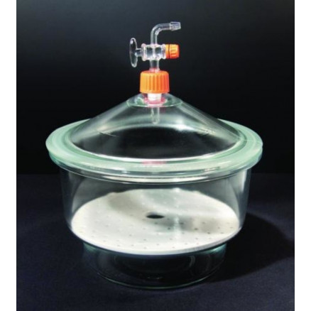 DESSICCATEUR VERRE BORO AVEC ROBINET D.293MM