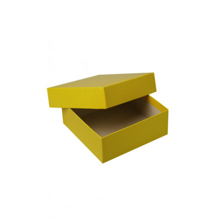 CRYOBOITE EN CARTON PLASTIFIE JAUNE 133X133X50MM