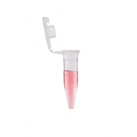 MICROTUBE 0,5ML EN PP + CAP. RABATTABLE NON STERILE X 1000