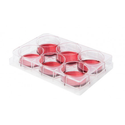 PLAQUE DE CULTURE CELLULAIRE STERILE 24 PUITS S/S.1 - X100