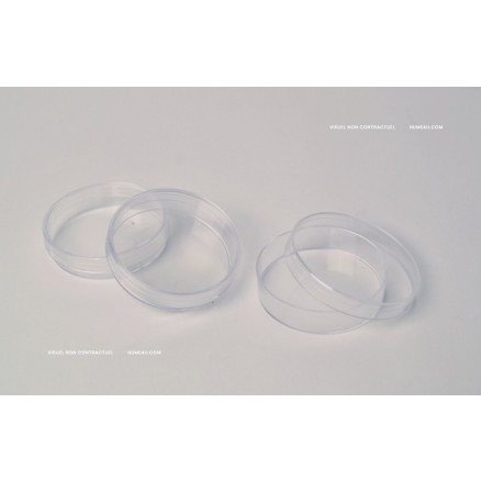 BOITE DE PETRI NUNC STERILE 245X245X25MM PS - PACK X16