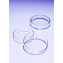 BOITE DE PETRI EN VERRE PYREX D.100MM H.20MM-PACK DE 10