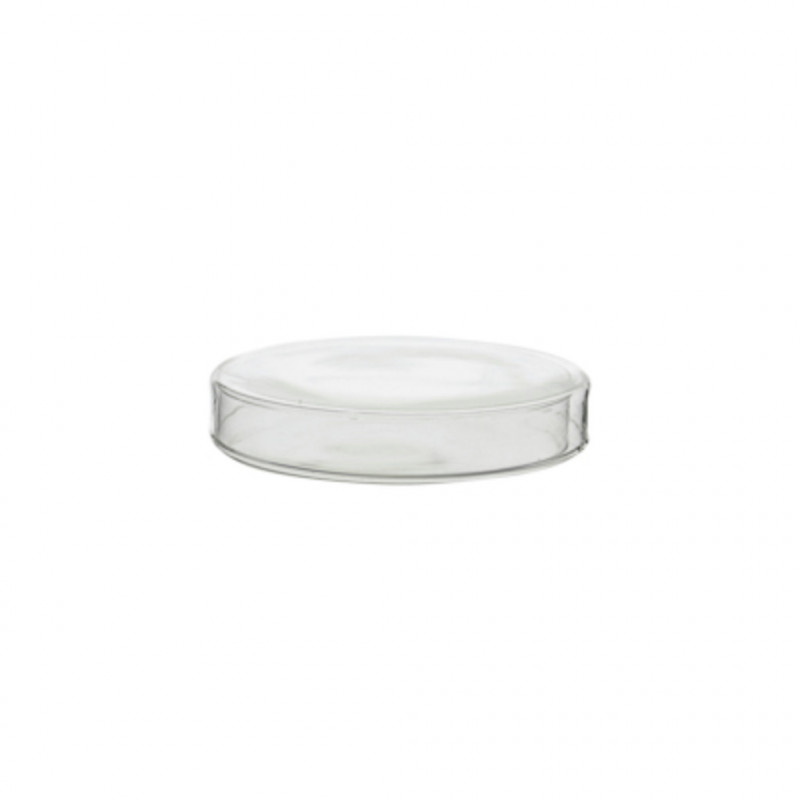 BOITE DE PETRI RONDE EN VERRE SODOCALCIQUE D60X15MM PAR X 30