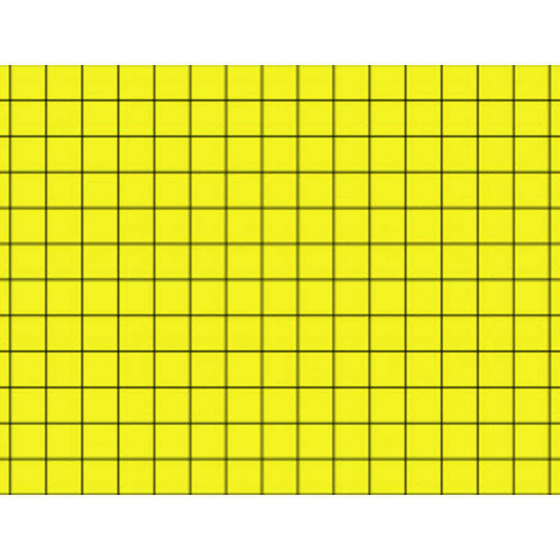 PLAQUE DE GLU 245X426MM CARTON JAUNE 1 FACE QUADRILLEE X6