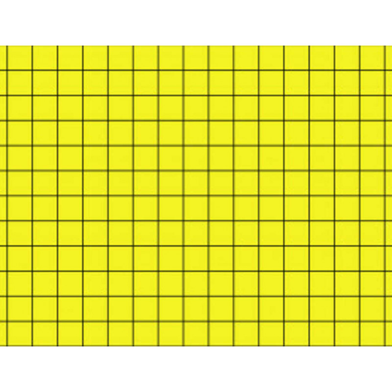 PLAQUE DE GLU 300X390MM CARTON JAUNE 1 FACE QUADRILLEE X6