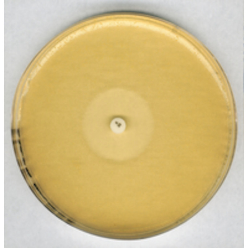 AGAR N'11 ESSAI ANTIBIOTIQUES GROVE RANDALL MERCK 5269-500G